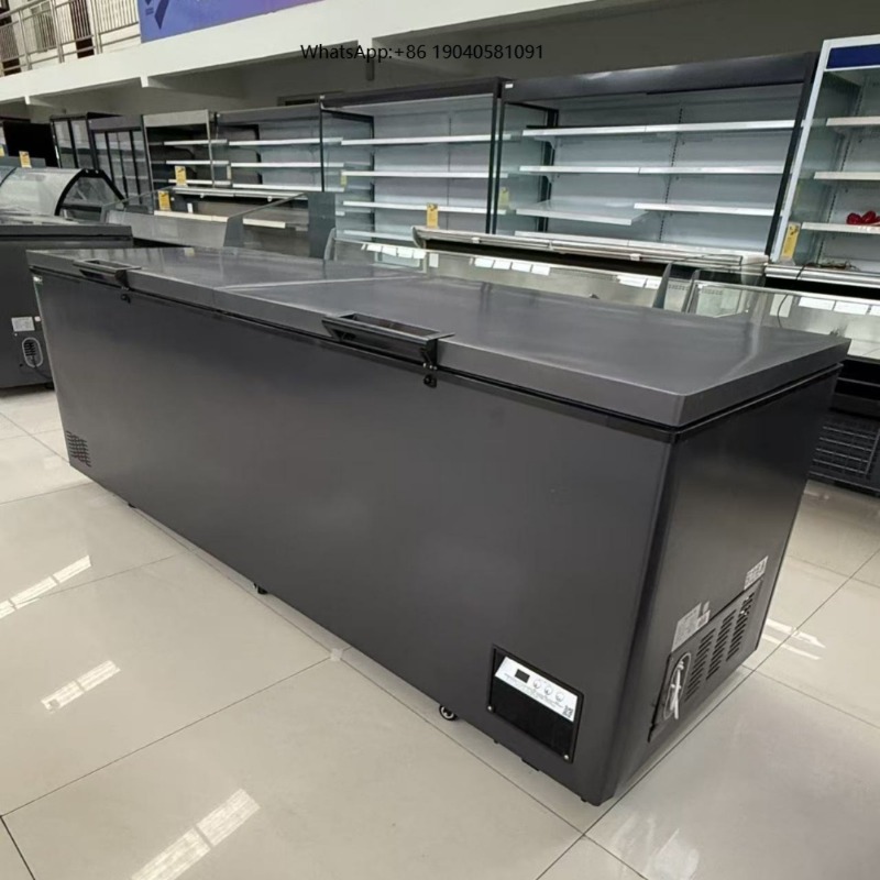 Commercial Double Door Horizon - Commercial Chest Freezer review and price