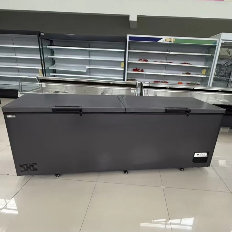 Commercial Double Door Horizon - Commercial Chest Freezer review and price